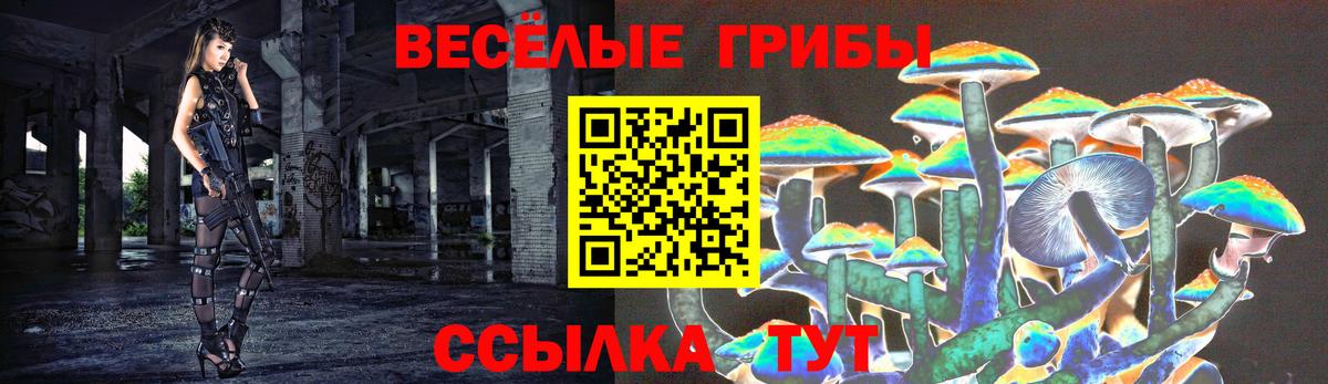 Галлюциногенные грибы Psilocybe  Вход с VPN  Симферополь  Псилоцибиновые грибы Psilocybe 